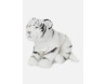 PELUCHES P&C TIGROTTI WEISSY BIANCHI 30